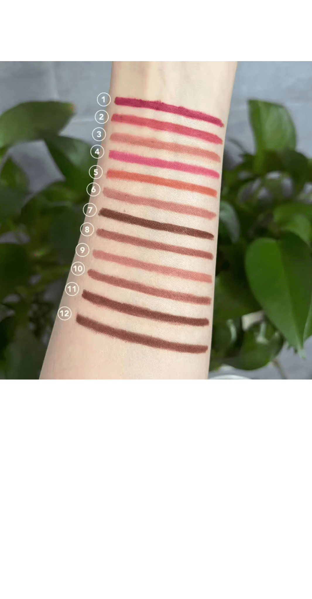 FencyGrace Line Loud, Vegan Retractable Matte Lip Pencil Infused with Vitamin E